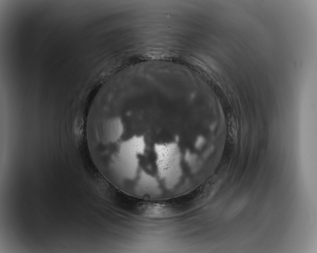 X0000088670507200706141338