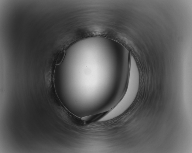 X0000088670509200706141338