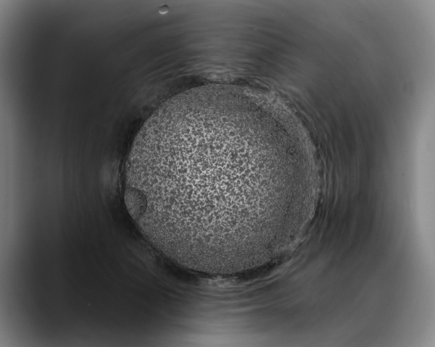 X0000088670511200706141338