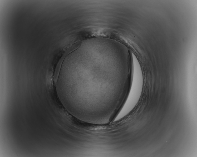X0000088670513200706141338