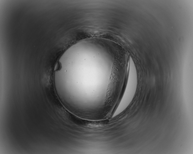 X0000088670515200706141338