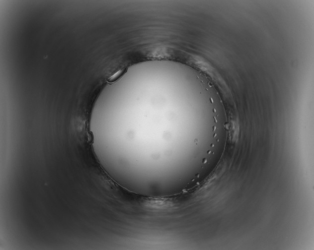 X0000088670521200706141338