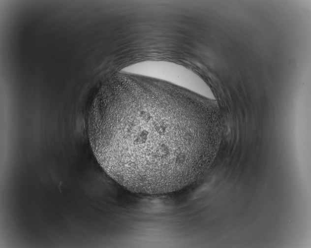 X0000088670523200706141338