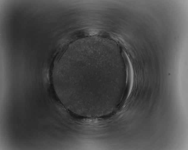 X0000088670524200706141338
