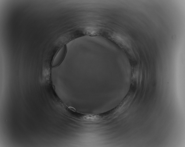 X0000088670526200706141338