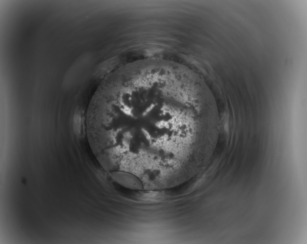 X0000088670527200706141338