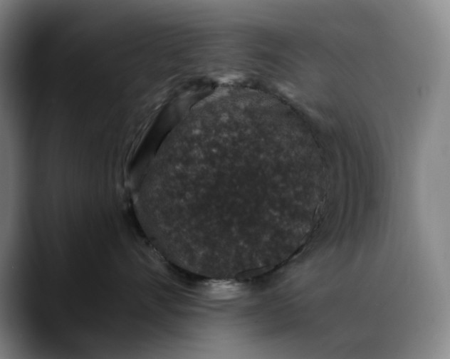 X0000088670528200706141338