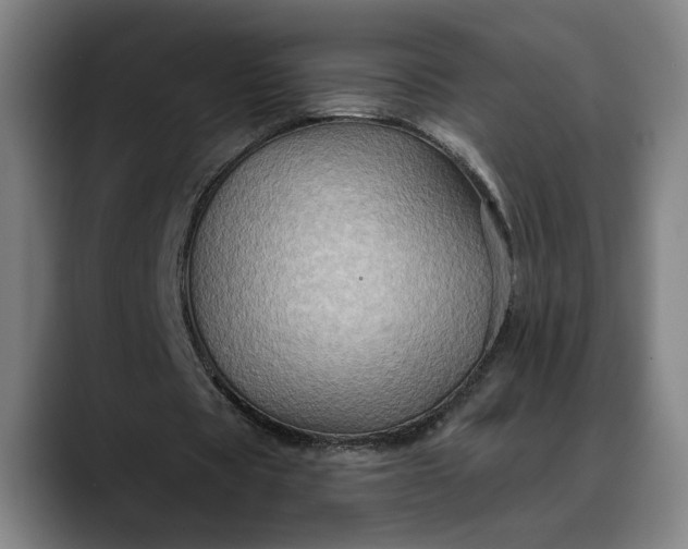 X0000088670529200706141338