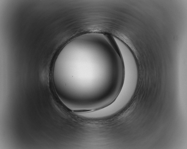 X0000088670530200706141338