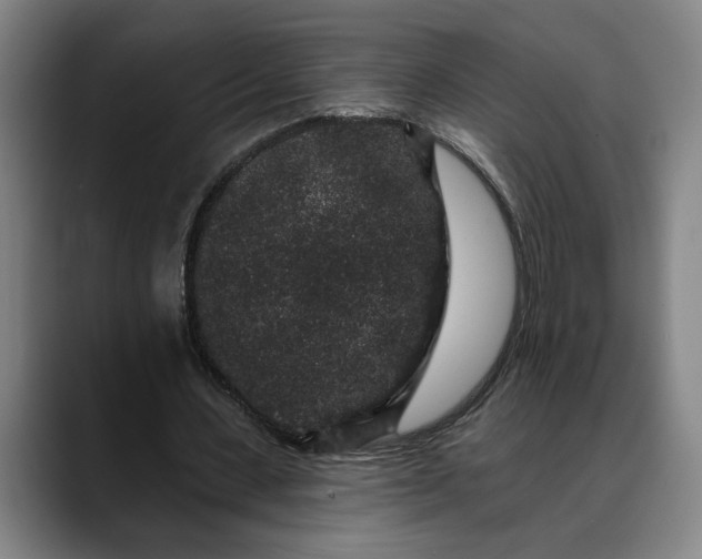 X0000088670531200706141338