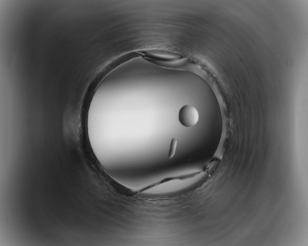 X0000088670532200706141338