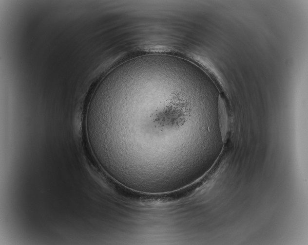 X0000088670533200706141338