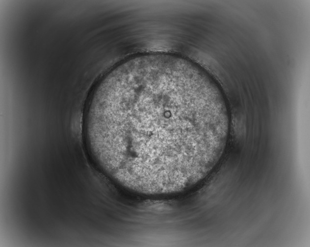 X0000088670534200706141338