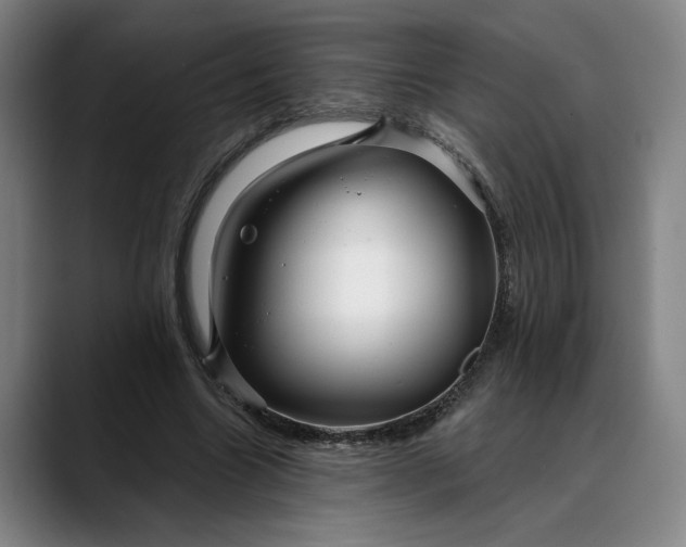 X0000088670538200706141338