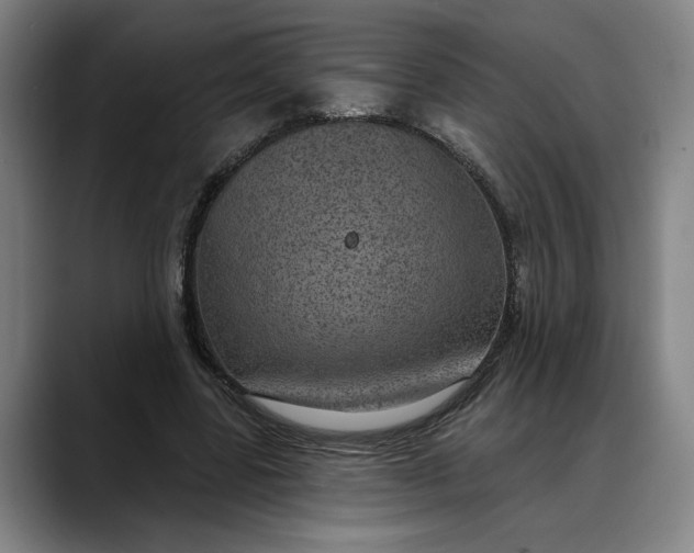 X0000088670539200706141338