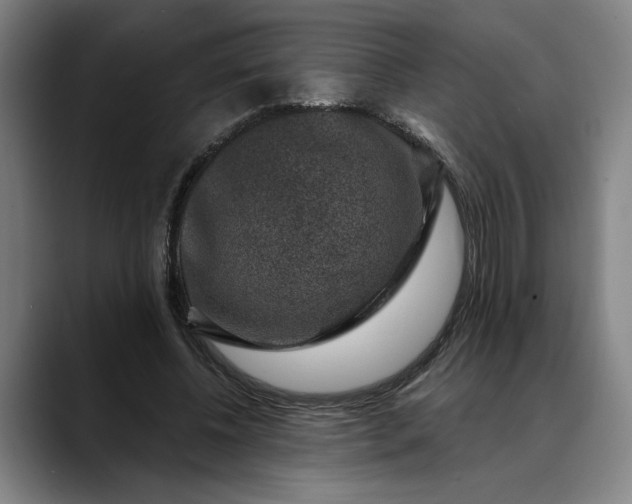 X0000088670540200706141338
