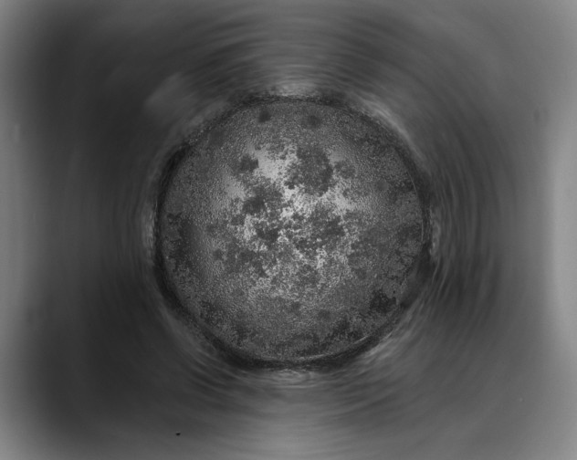 X0000088670542200706141338
