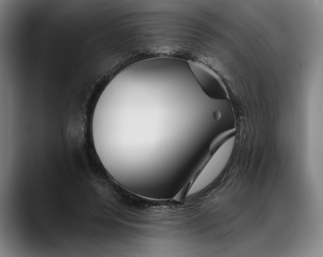 X0000088670544200706141338