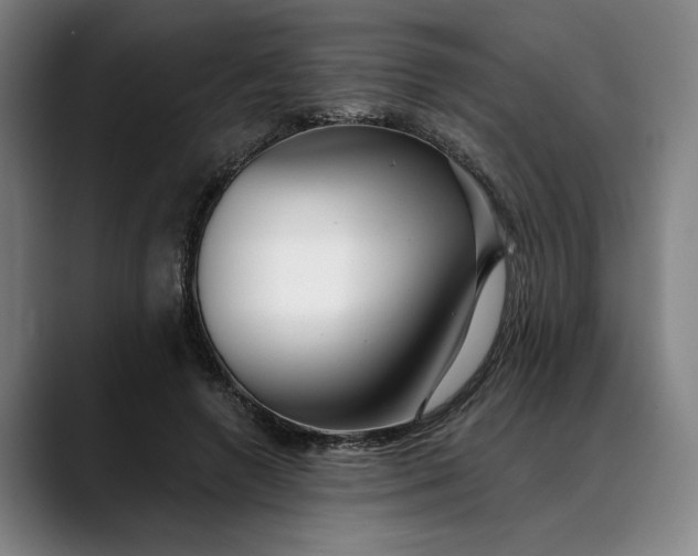 X0000088670546200706141338