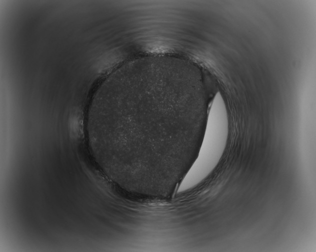 X0000088670547200706141338