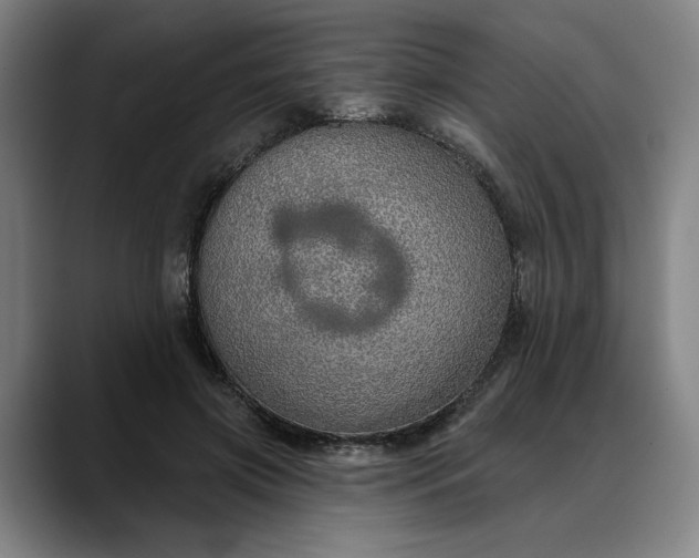 X0000088670549200706141338