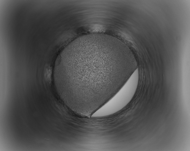 X0000088670550200706141338