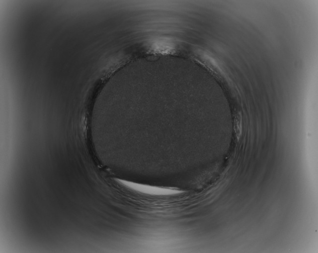 X0000088670551200706141338