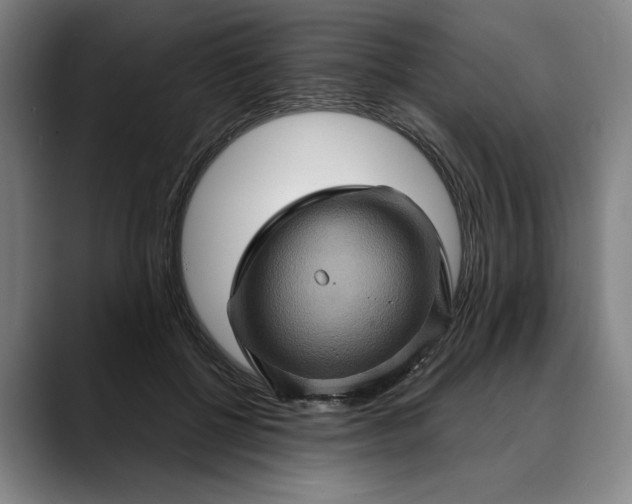 X0000088670552200706141338