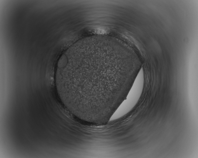 X0000088670553200706141338