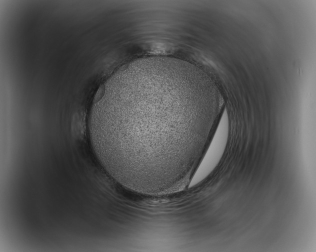 X0000088670554200706141338