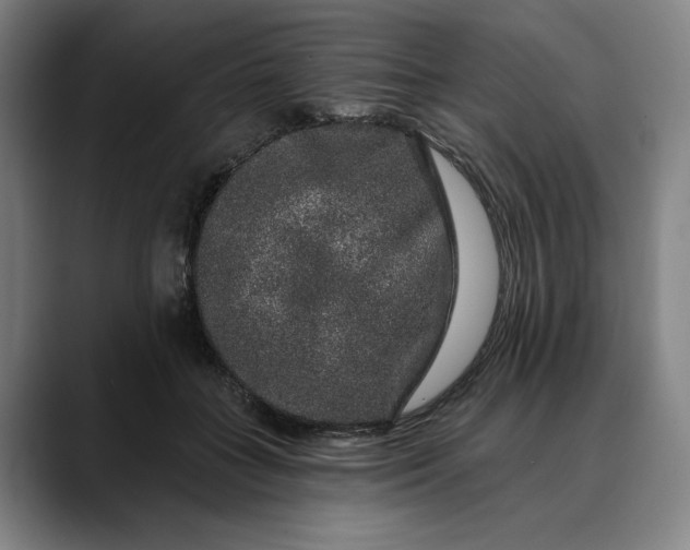 X0000088670555200706141338