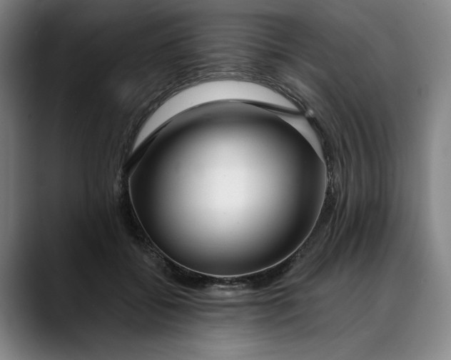 X0000088670556200706141338