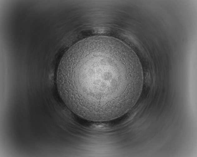 X0000088670557200706141338