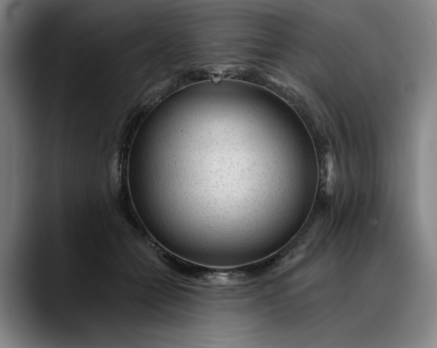 X0000088670558200706141338