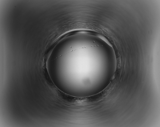 X0000088670560200706141338