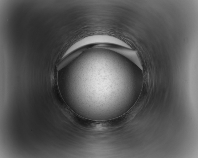 X0000088670564200706141338