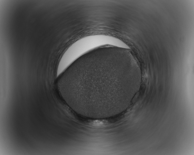 X0000088670566200706141338