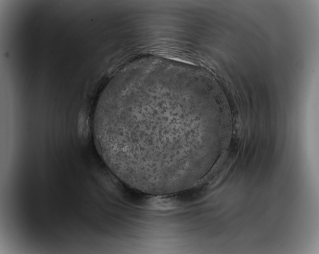 X0000088670568200706141338