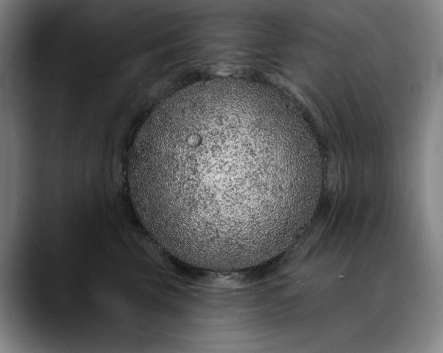 X0000088670569200706141338