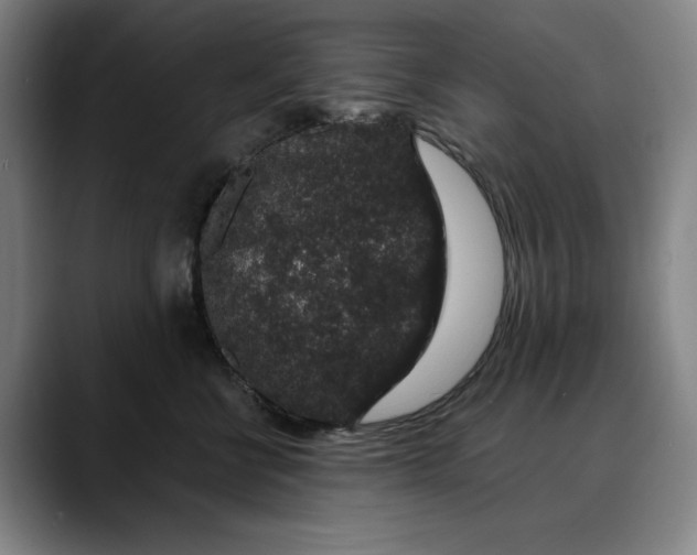 X0000088670570200706141338