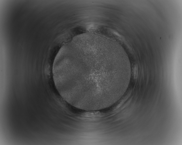 X0000088670571200706141338