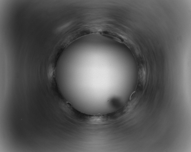 X0000088670574200706141338