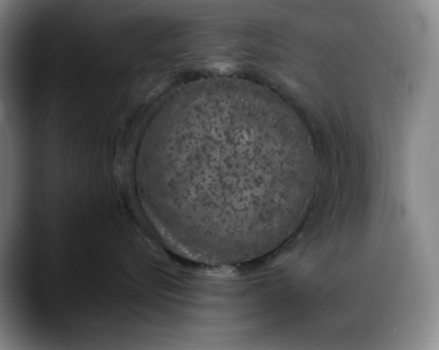 X0000088670576200706141338