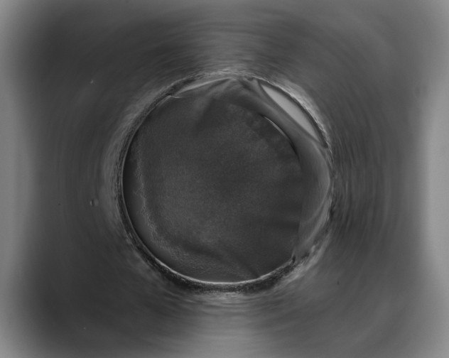 X0000088670577200706141337