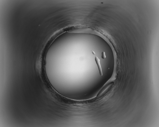 X0000088670580200706141337