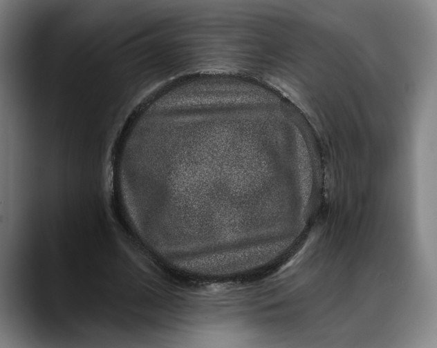 X0000088670584200706141337