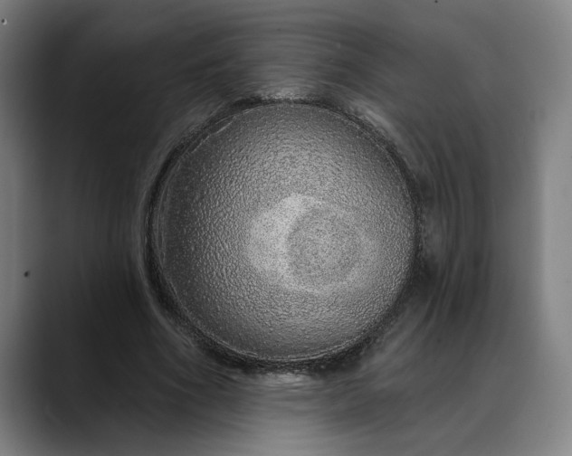 X0000088670586200706141337