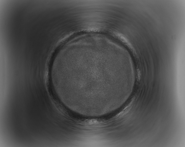 X0000088670588200706141337