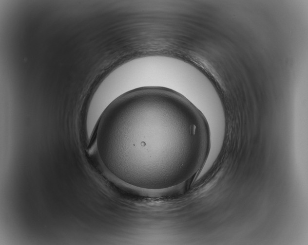 X0000088670589200706141337