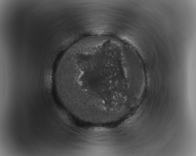 X0000088670590200706141337